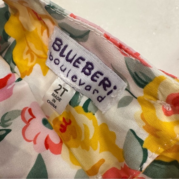 Blueberi Boulevard LOT OF 2 Girls Floral Dresses NWT Size 2T MSRP $96 - Picture 13 of 16
